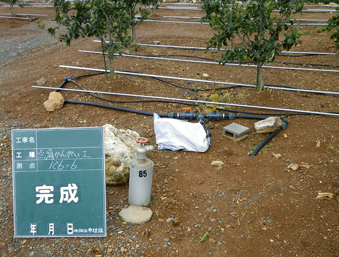 農園内点滴かんがい設備工事