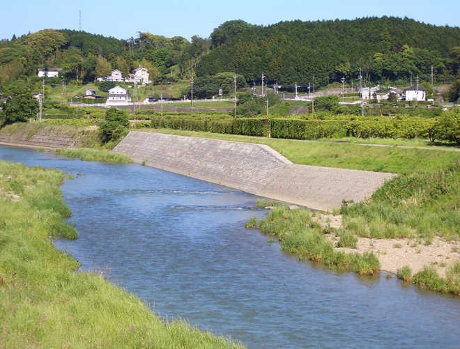 井伊谷川ブロック張護岸工事